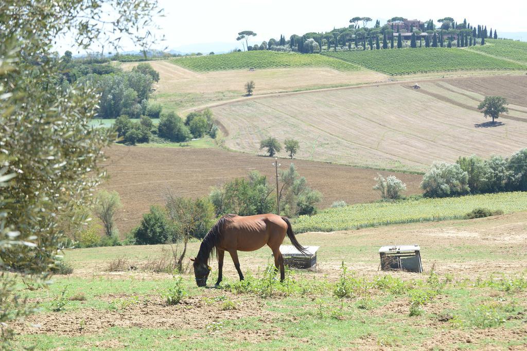 Agriturismi Farina Castiglione del Lago Exterior foto