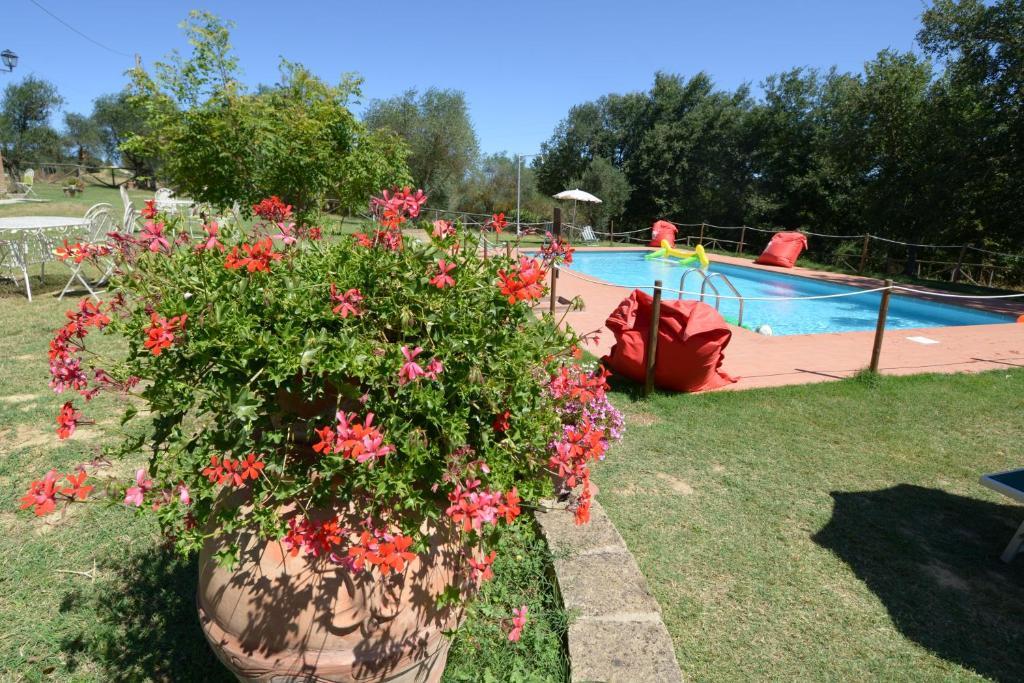 Agriturismi Farina Castiglione del Lago Exterior foto