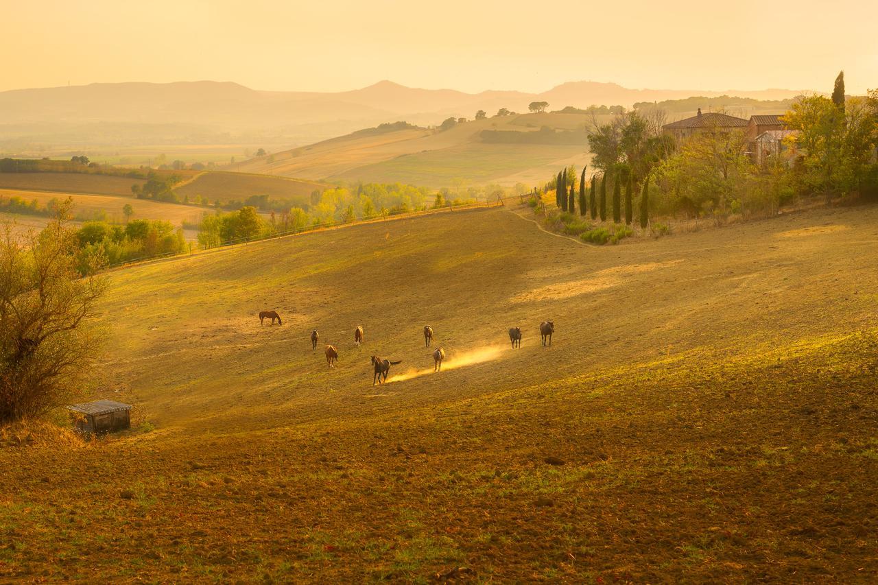 Agriturismi Farina Castiglione del Lago Exterior foto